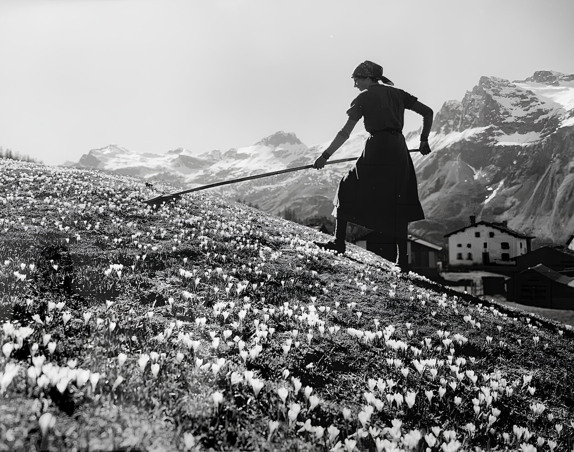 Photograph by Albert Steiner