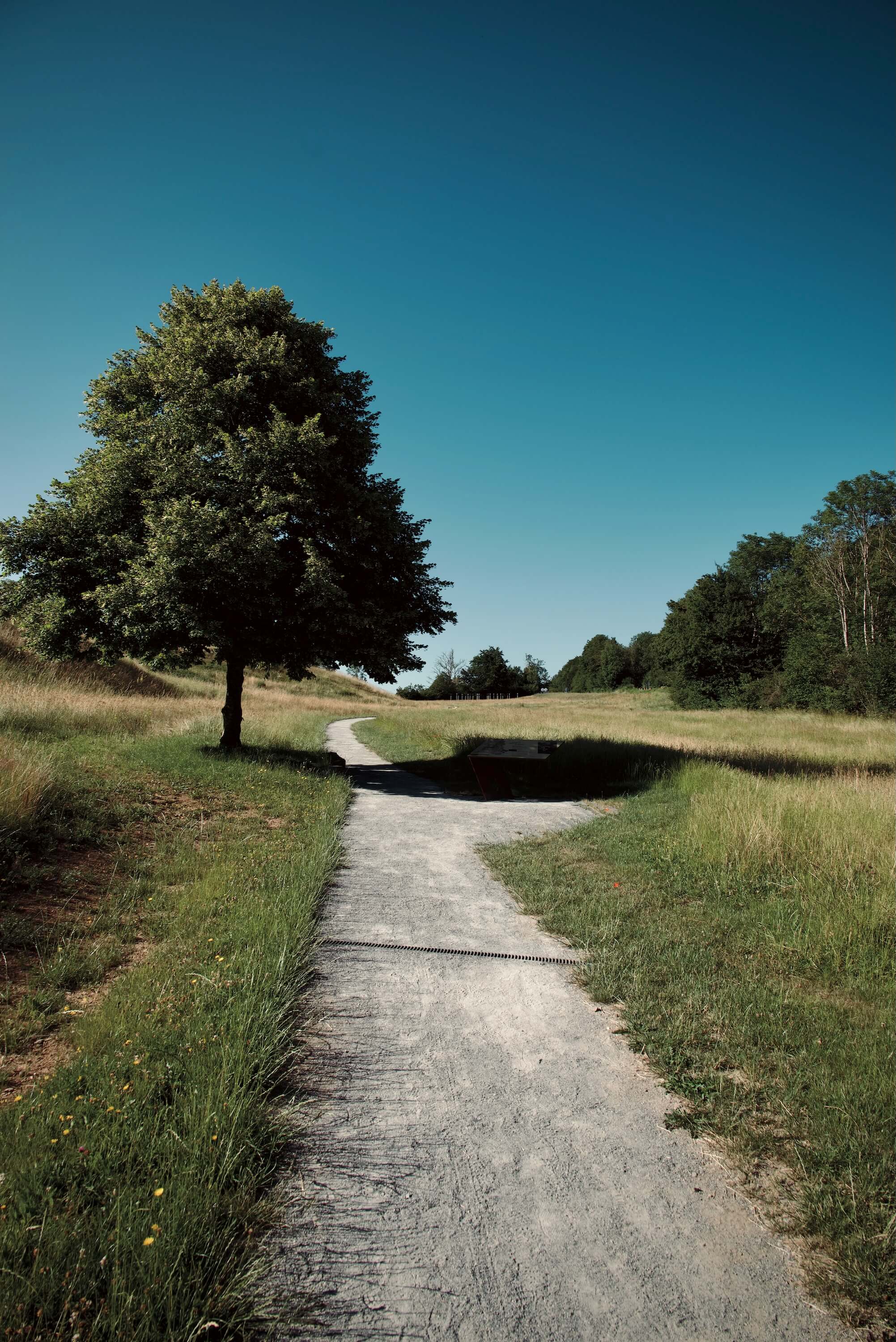 The Prairie