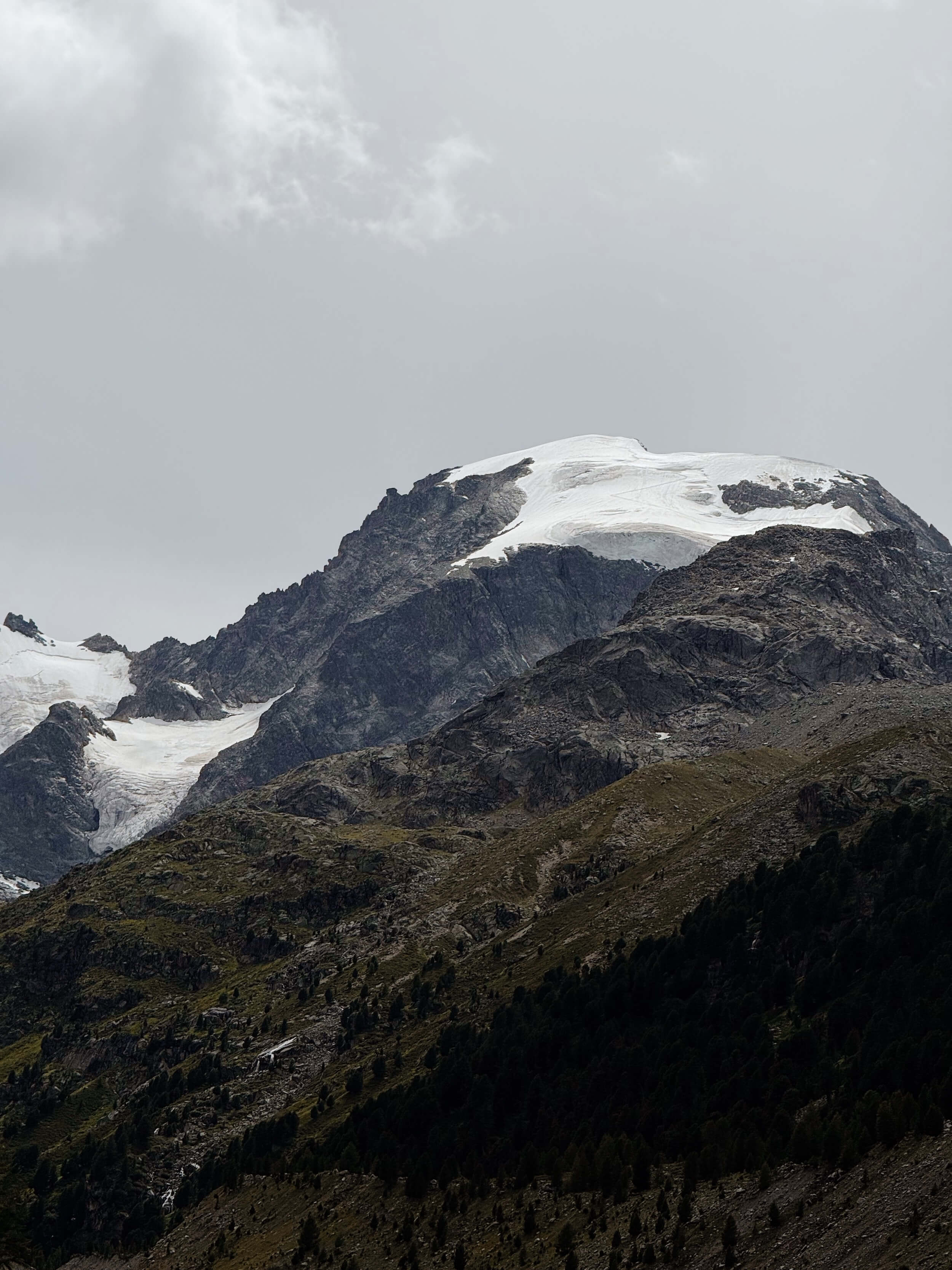 Views of the Bernina range