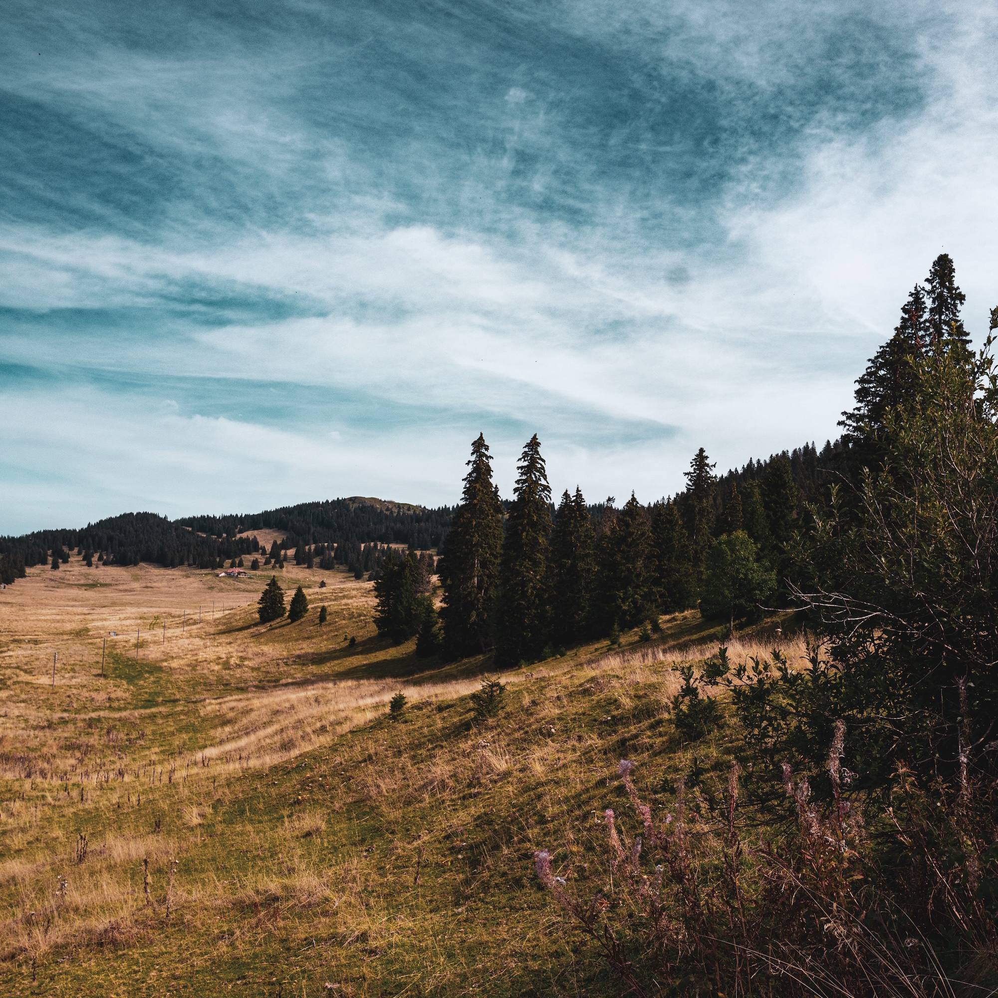 Vallée de Joux