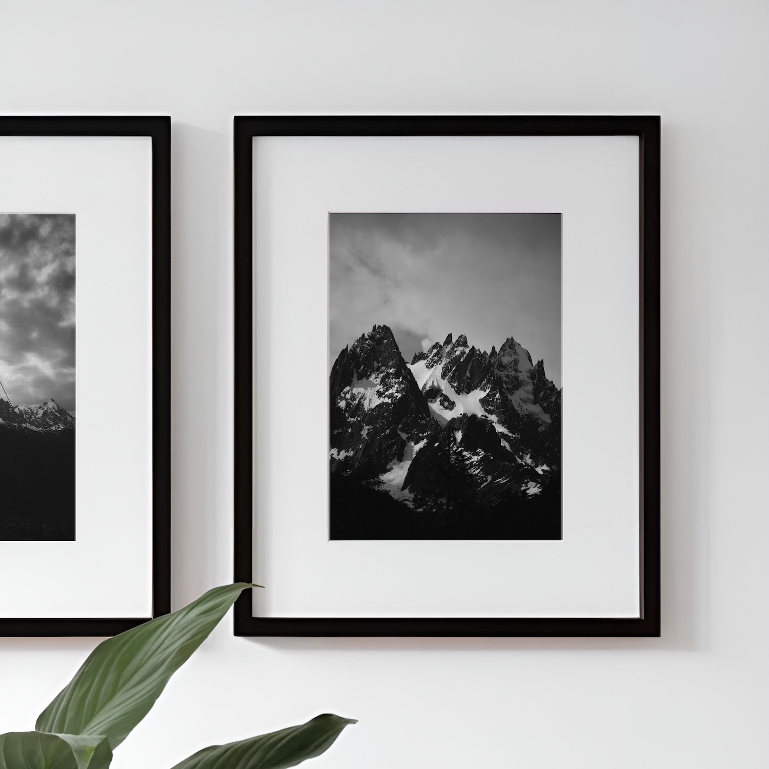 Fine Art Prints